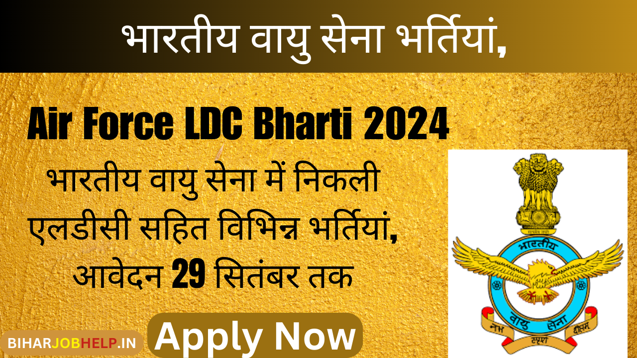 Air Force LDC Bharti 2024