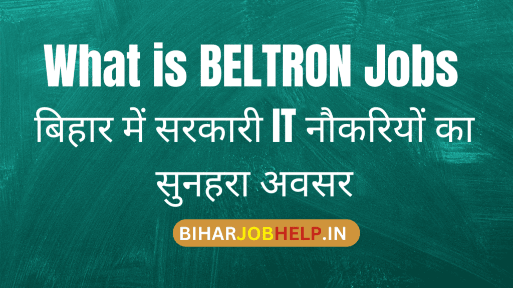 BELTRON Jobs 2024